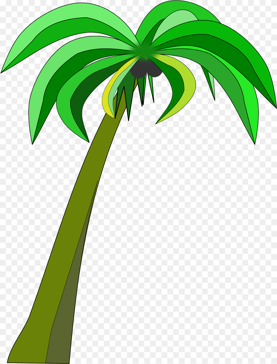 Library Of Palm Tree Freeuse Transparent Coconut Tree Clipart Transparent, Palm Tree, Plant, Vegetation Png