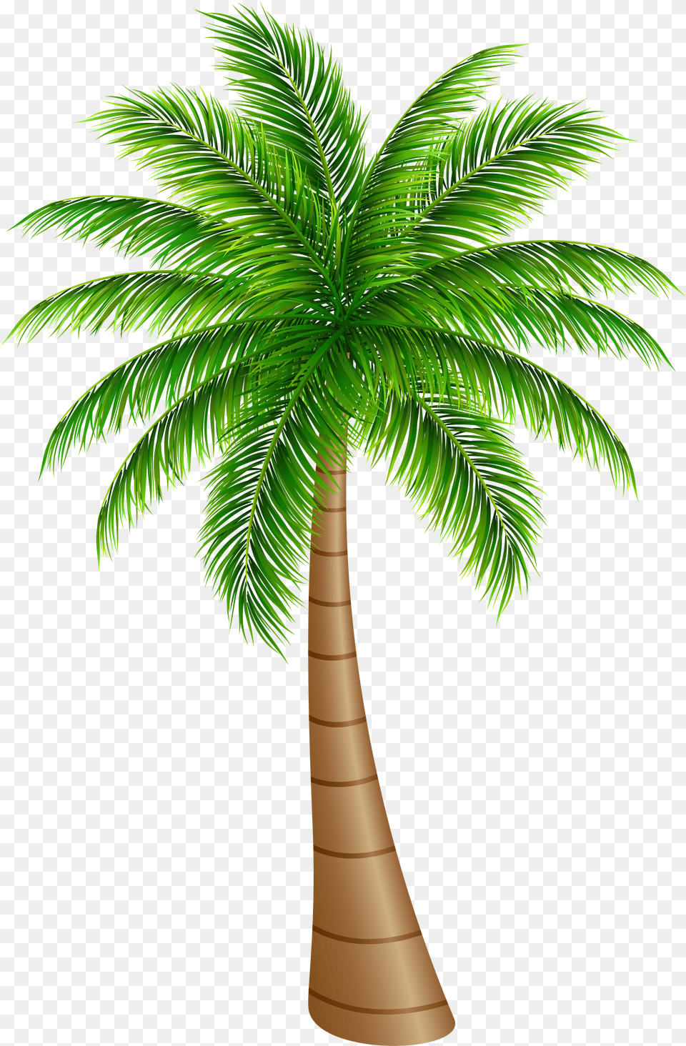 Library Of Palm Tree With Hammock Picture Palm Tree Clipart Free Png Download