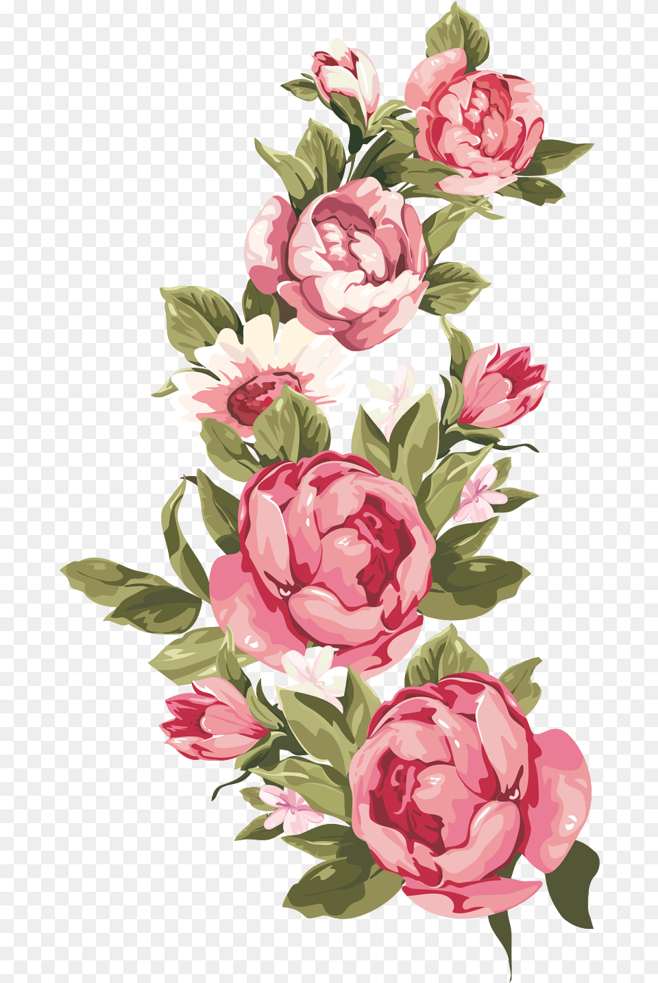 Library Of Peony Flower Vintage Text Box, Art, Floral Design, Graphics, Pattern Png