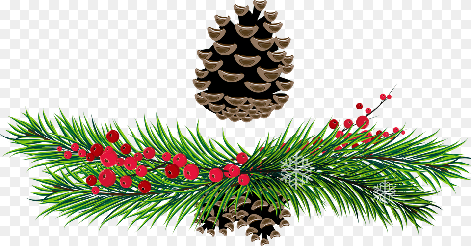 Library Of Pine Tree Branch Jpg Black Rustic Christmas Holly Clipart, Art, Conifer, Floral Design, Graphics Png Image