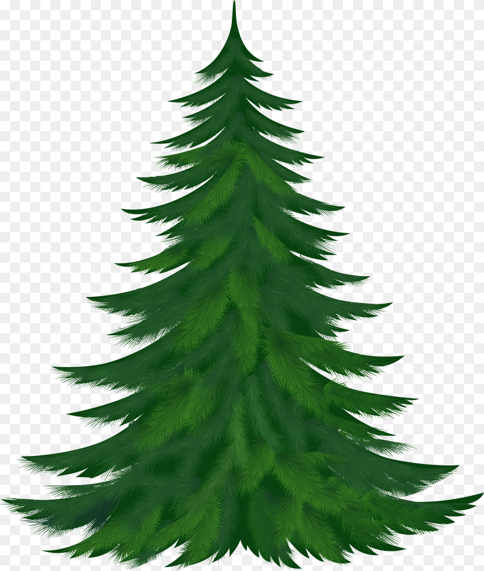 Library Of Pine Tree Clip Art Freeuse Christmas Tree Clipart Free Png Download