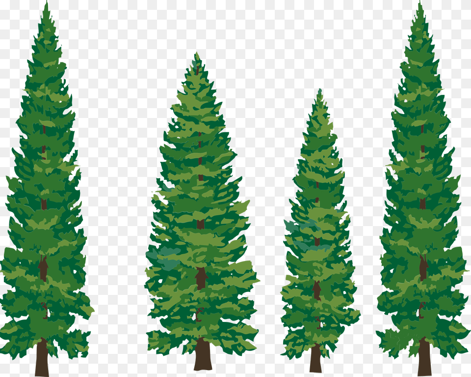 Library Of Pine Tree Forest Jpg Cartoon Pine Tree, Plant, Fir, Conifer, Vegetation Png Image