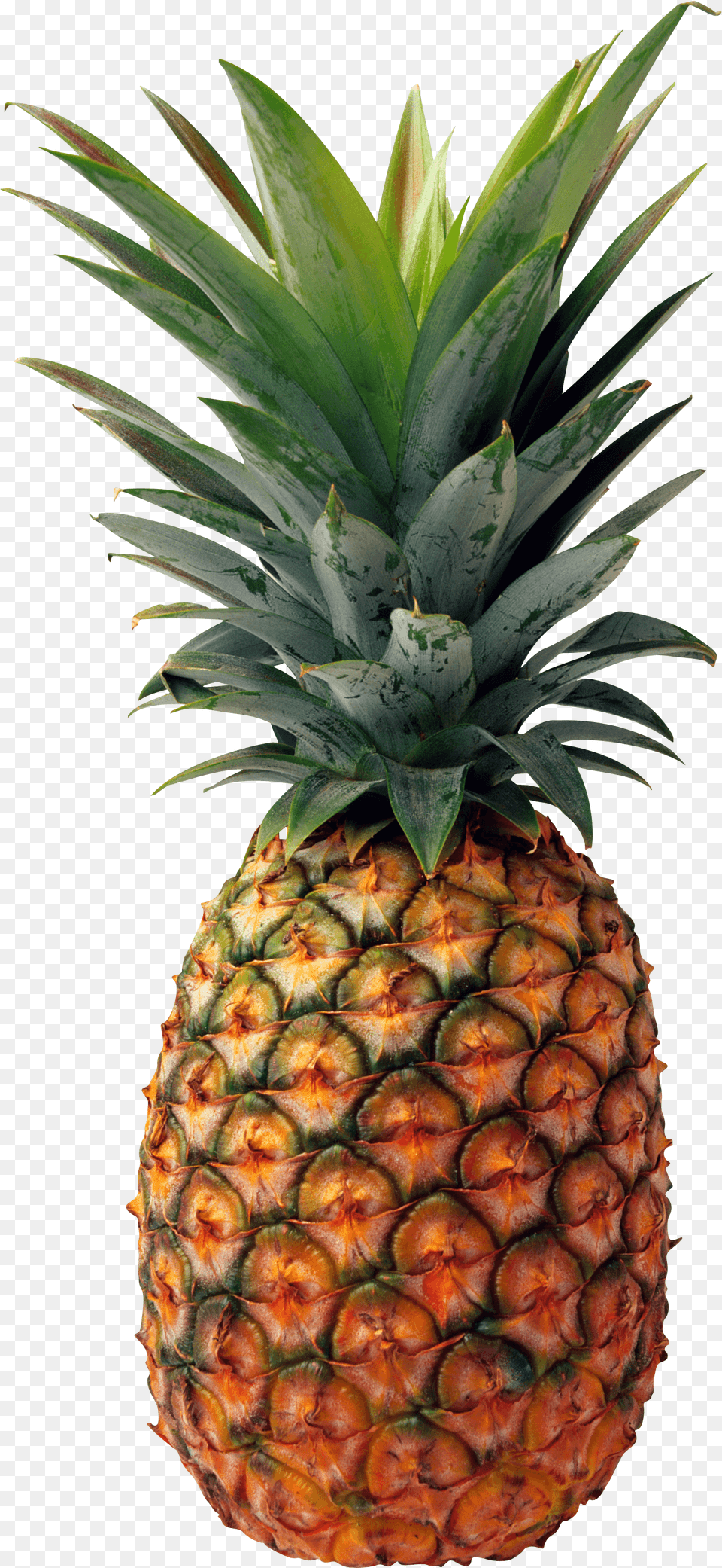 Library Of Pineapple Clipart Black And Pineapple, Food, Fruit, Plant, Produce Png Image