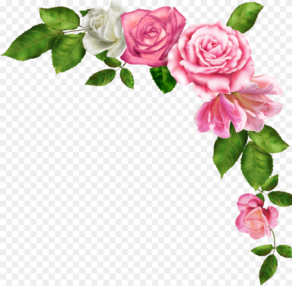 Library Of Pink Flower Border Vector Pink Flower Border, Plant, Rose, Petal, Flower Arrangement Free Transparent Png