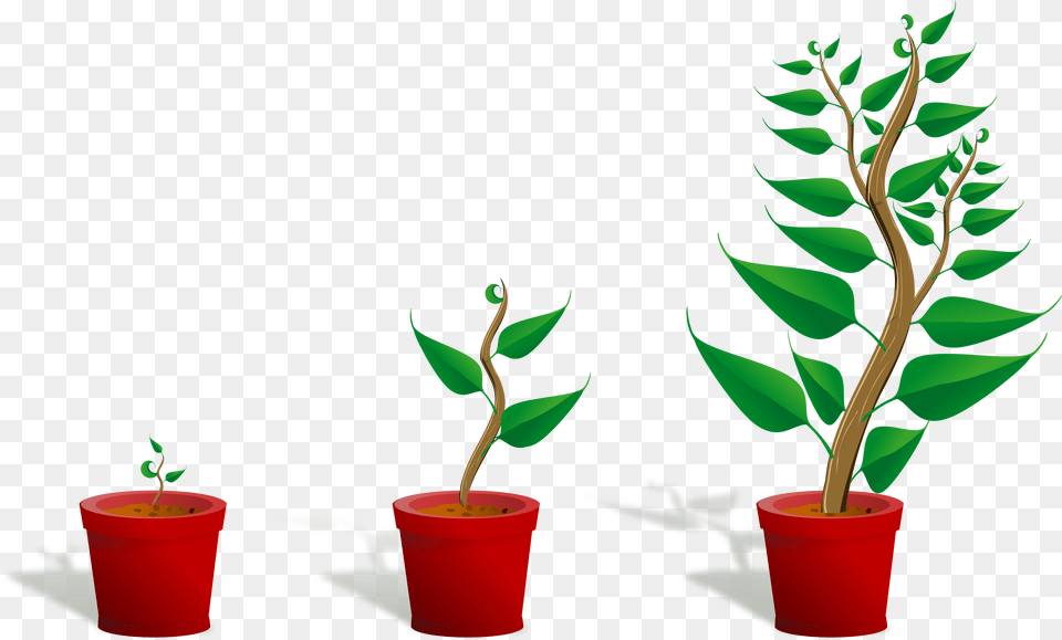 Library Of Plant A Flower Clipart Freeuse Stock Files Getting To Know Plants, Leaf, Potted Plant, Tree, Cookware Free Transparent Png