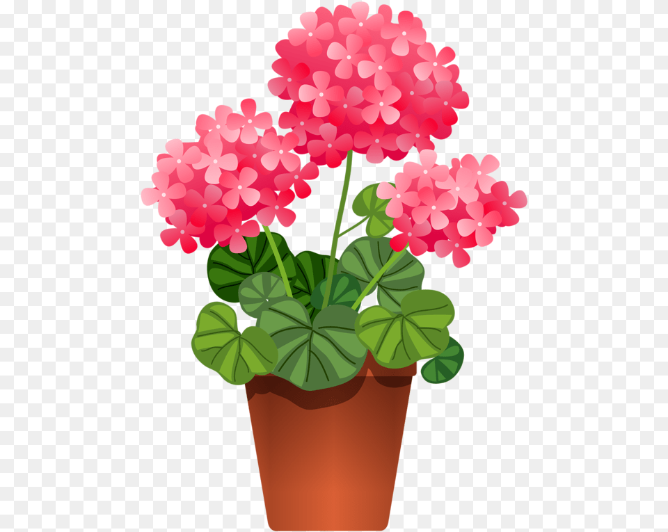 Library Of Plant A Flower Clipart Freeuse Stock Files Potted Plants Clipart, Geranium Png Image