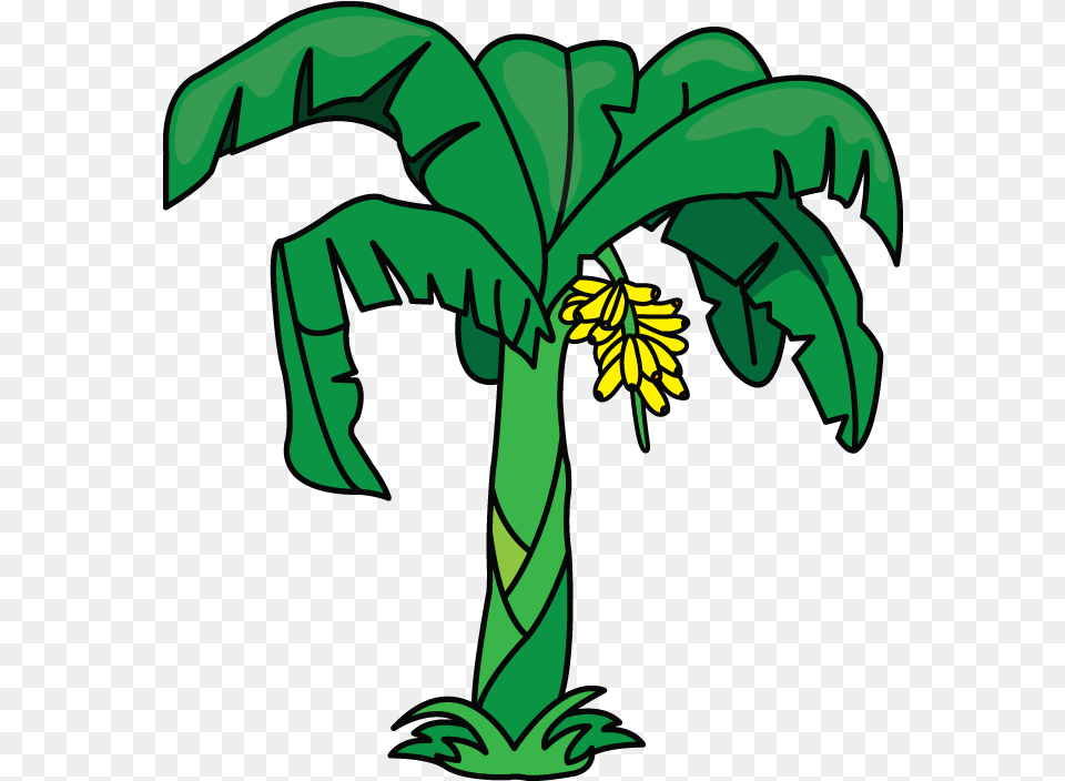 Library Of Plantain Tree Graphic Royalty Cartoon Drawings Of Banana Tree, Palm Tree, Plant, Vegetation, Dynamite Png Image