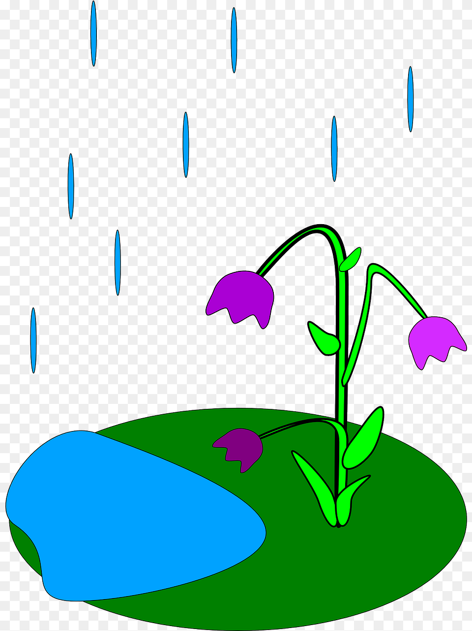 Library Of Rain Flowers Sun Clipart Royalty Rain Formed For Kids, Art, Flower, Graphics, Plant Free Png