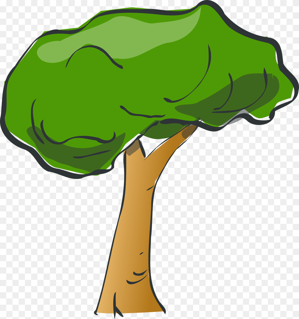 Library Of Rainforest Tree Stock Files Cartoon Tree Background, Plant, Broccoli, Food, Produce Png Image
