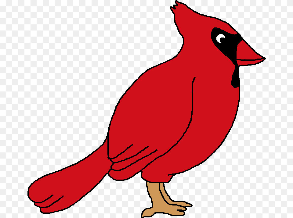 Library Of Red Bird Picture Transparent Red Bird Clip Art, Animal, Cardinal, Person Free Png