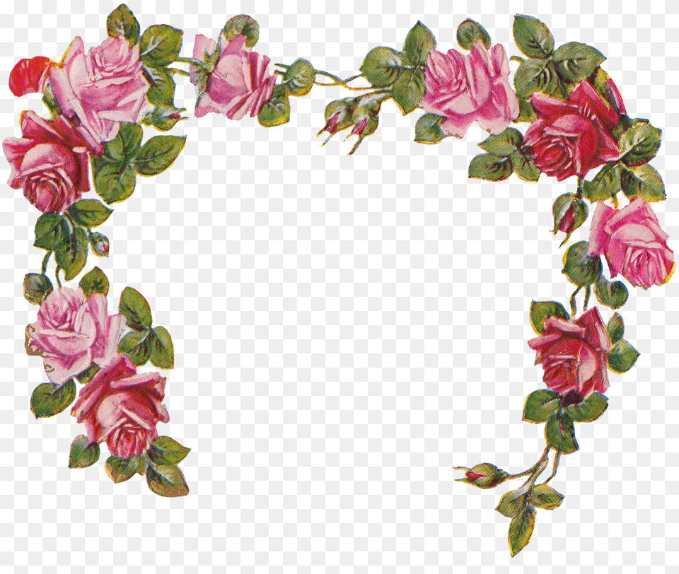 Library Of Rose Heart Flower Clipart Files Flower Frame No Background, Plant, Pattern, Flower Arrangement, Art Free Transparent Png