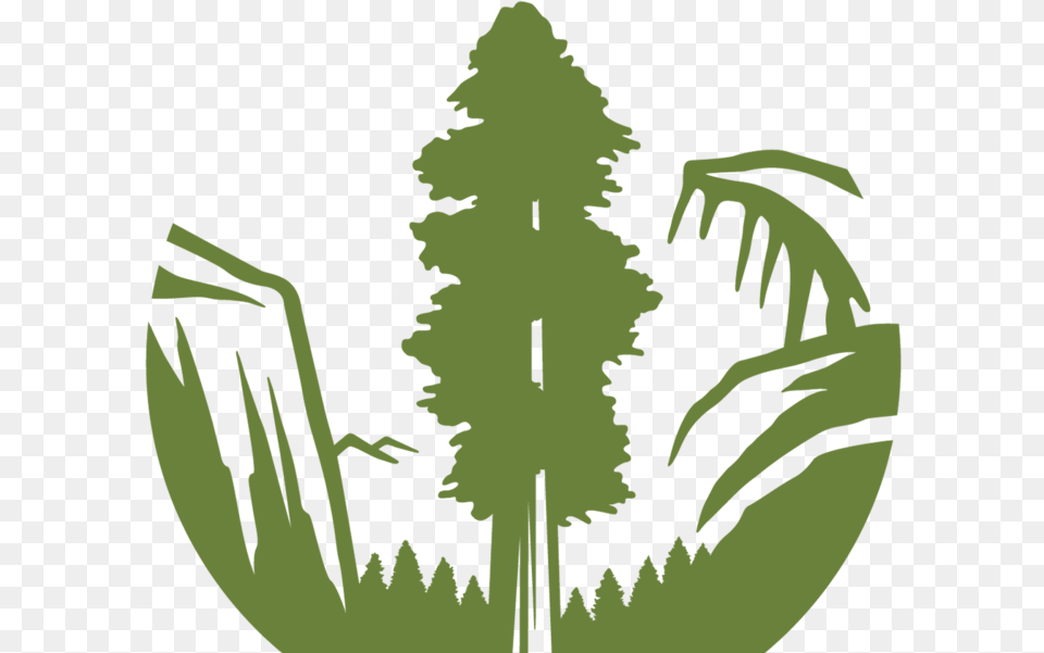 Library Of Sierra Club Logo Graphic Files Sierra Club Logo, Vegetation, Tree, Plant, Person Free Png Download