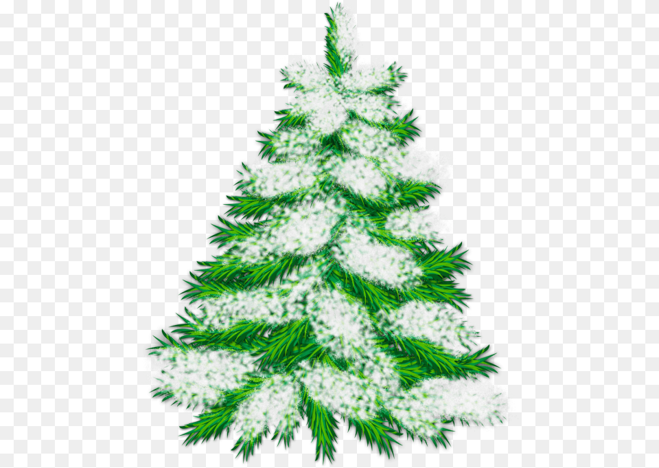 Library Of Snowy Tree Black And 2020, Plant, Fir, Pine, Conifer Png Image