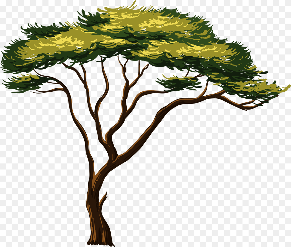 Library Of Strong Tree Vector Free Files Clipart African Trees, Plant, Art, Vegetation, Painting Png Image