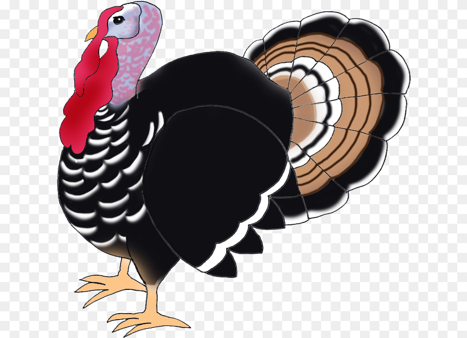 Library Of Thanksgiving Turkey Banner Royalty Download Turkey Bird Hd, Animal, Fowl, Poultry, Turkey Bird Free Png