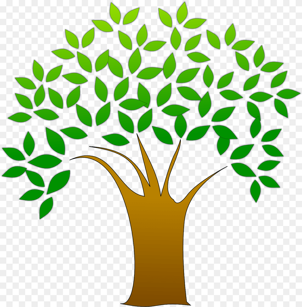 Library Of Transparent Freeuse Tree Clipart Tree Transparent Background, Leaf, Potted Plant, Green, Herbal Free Png