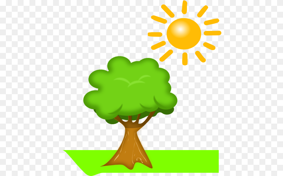 Library Of Tree And Sun Stock Files Plants Make Their Own Food, Green, Plant, Art, Graphics Free Png Download