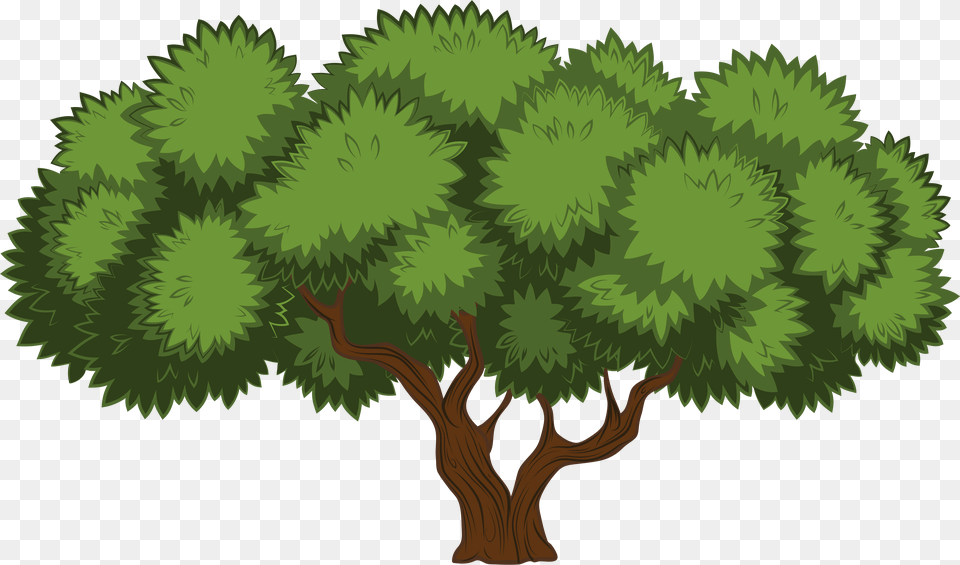 Library Of Tree Picture Files Trees Clip Art, Conifer, Vegetation, Plant, Outdoors Free Transparent Png