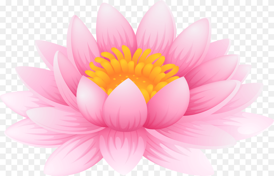 Library Of Water Lily Clipart Files Pad Png