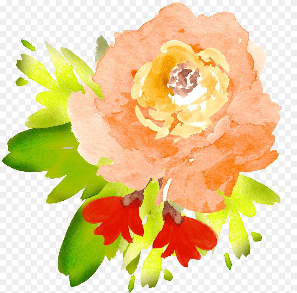 Library Of Watercolor Flower Picture Orange Flower Clipart, Graphics, Art, Flower Arrangement, Flower Bouquet Png Image