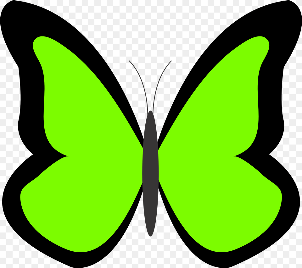 Library Of Where The Wild Things Are Crown Jpg Royalty Butterfly In Green Colour, Leaf, Plant, Animal, Insect Png