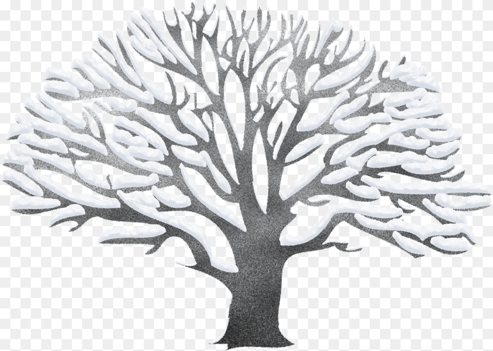 Library Of Winter Tree Clipart Snow Trees, Plant, Art, Outdoors, Nature Png