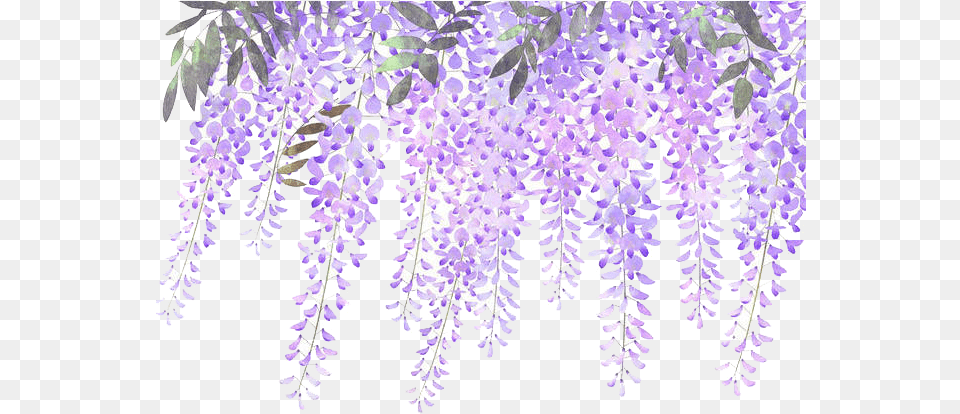 Library Of Wisteria Lavender Hydrangea Wisteria Flower, Plant, Purple Free Png Download