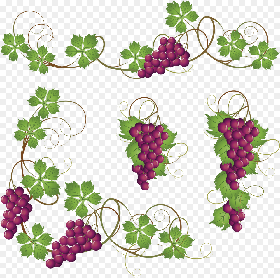 Library Stock B C Be E Orig Winogrona Uvas De Primera Comunion, Food, Fruit, Grapes, Plant Png Image