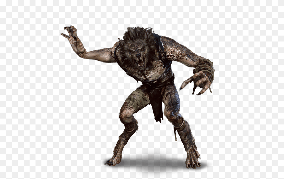 Library Werewolf Lupo Mannaro The Witcher, Electronics, Hardware, Adult, Male Free Transparent Png