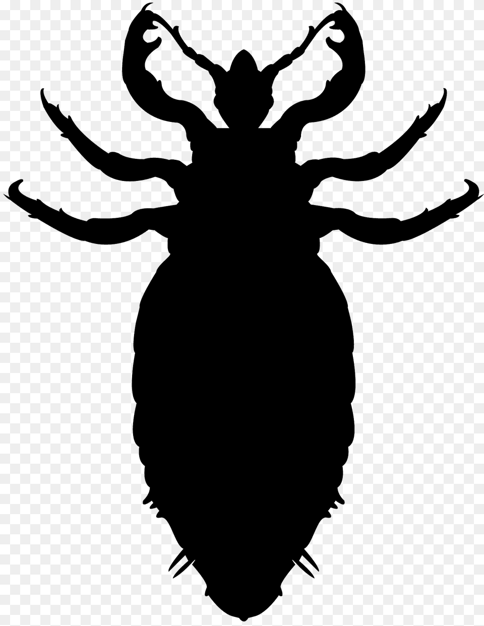 Lice Silhouette, Person, Animal Free Png