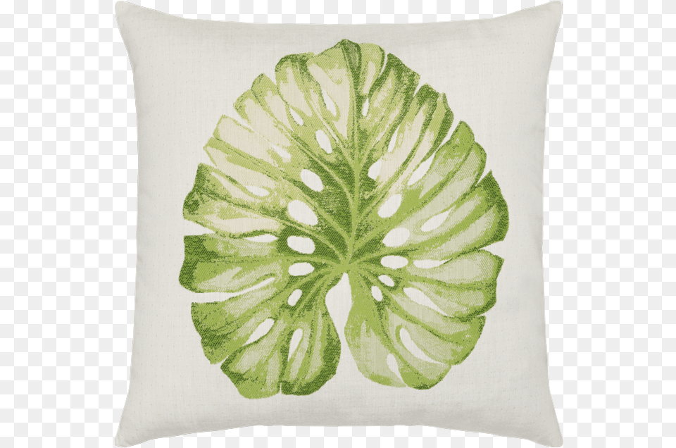 Lichen Leaf Cushion, Home Decor, Pillow, Plant Png Image