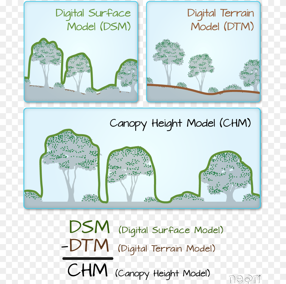 Lidar Derived Dsm Dtm And Chm Canopy Height Model Chm, Vegetation, Tree, Plant, Advertisement Free Transparent Png