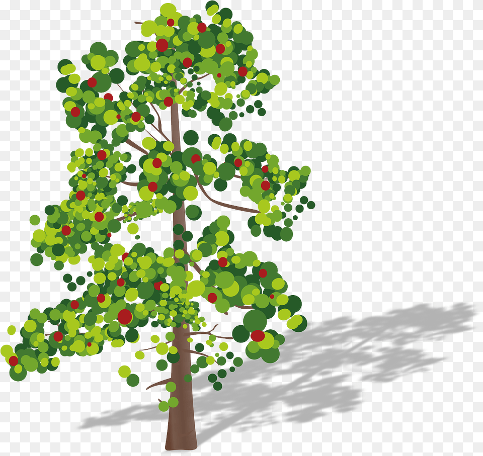 Lidar Number Of Returns, Oak, Plant, Sycamore, Tree Free Transparent Png