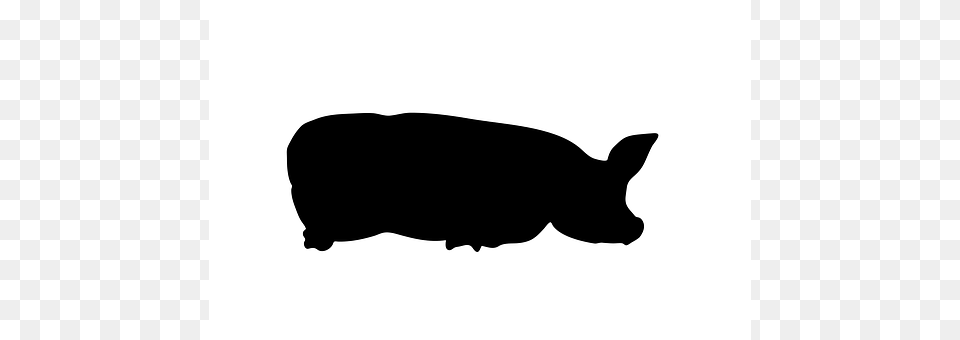 Lie Silhouette, Animal, Mammal, Pig Png Image