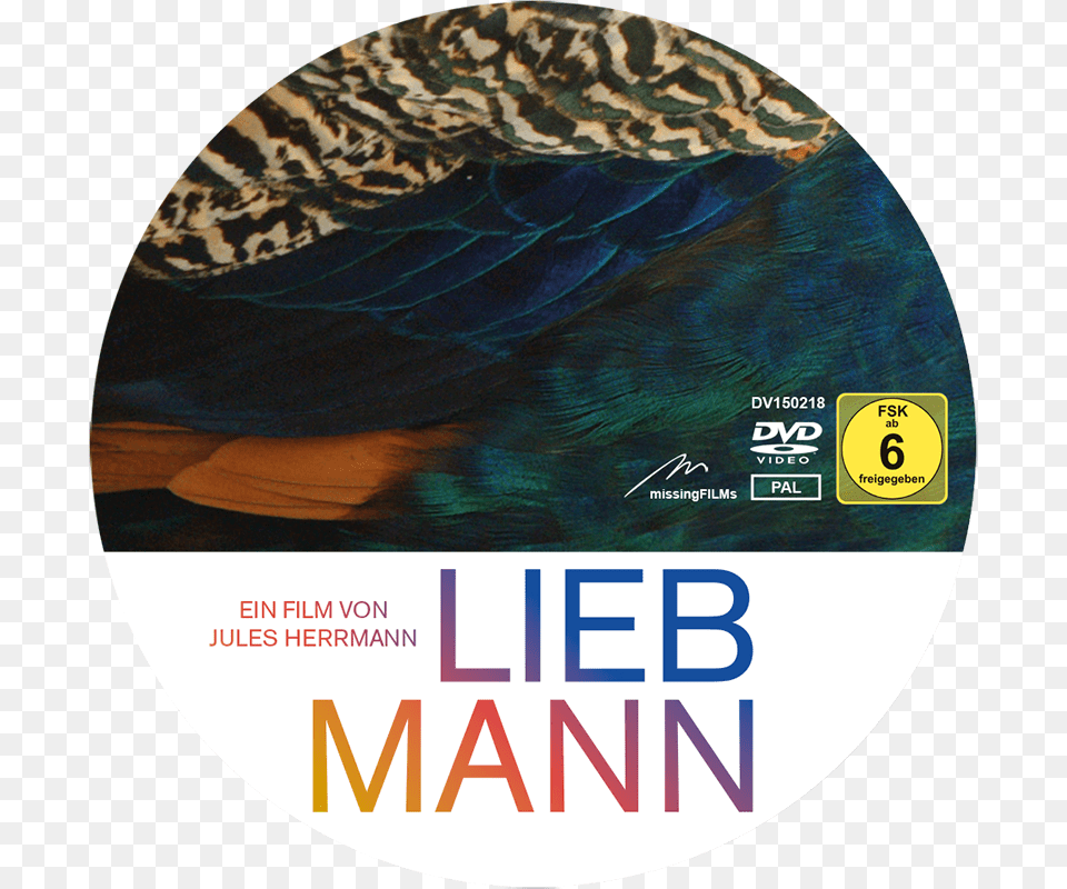 Liebmann Movie, Animal, Bird Png