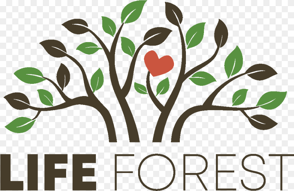Life Forest Trail Committee Tree With Roots Graphic, Art, Graphics, Floral Design, Pattern Png