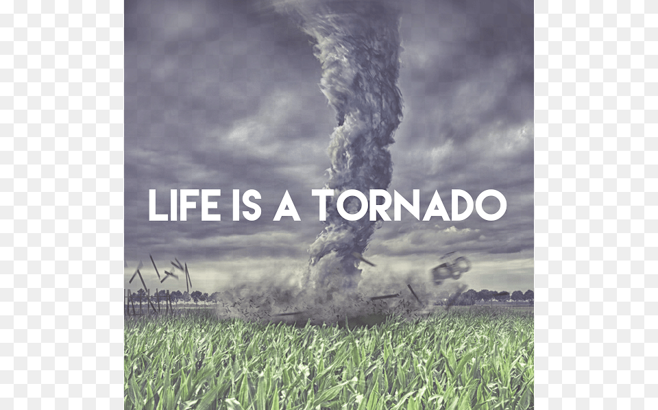 Life Is A Tornado Teton Yellowstone Tornado, Nature, Outdoors, Grass, Plant Png