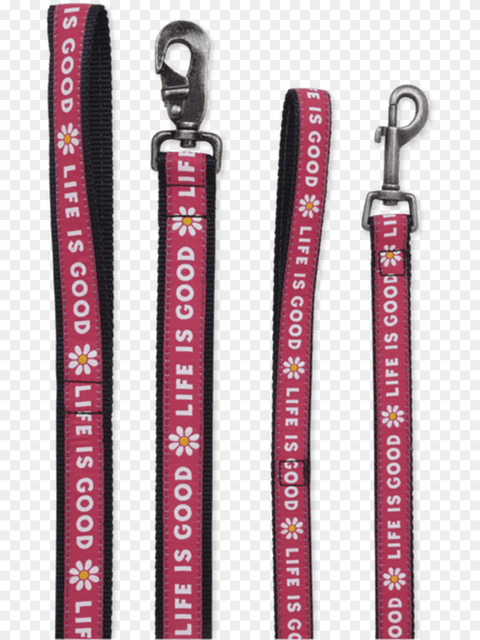 Life Is Good Nylon Daisy Dog Leash, Accessories Free Png