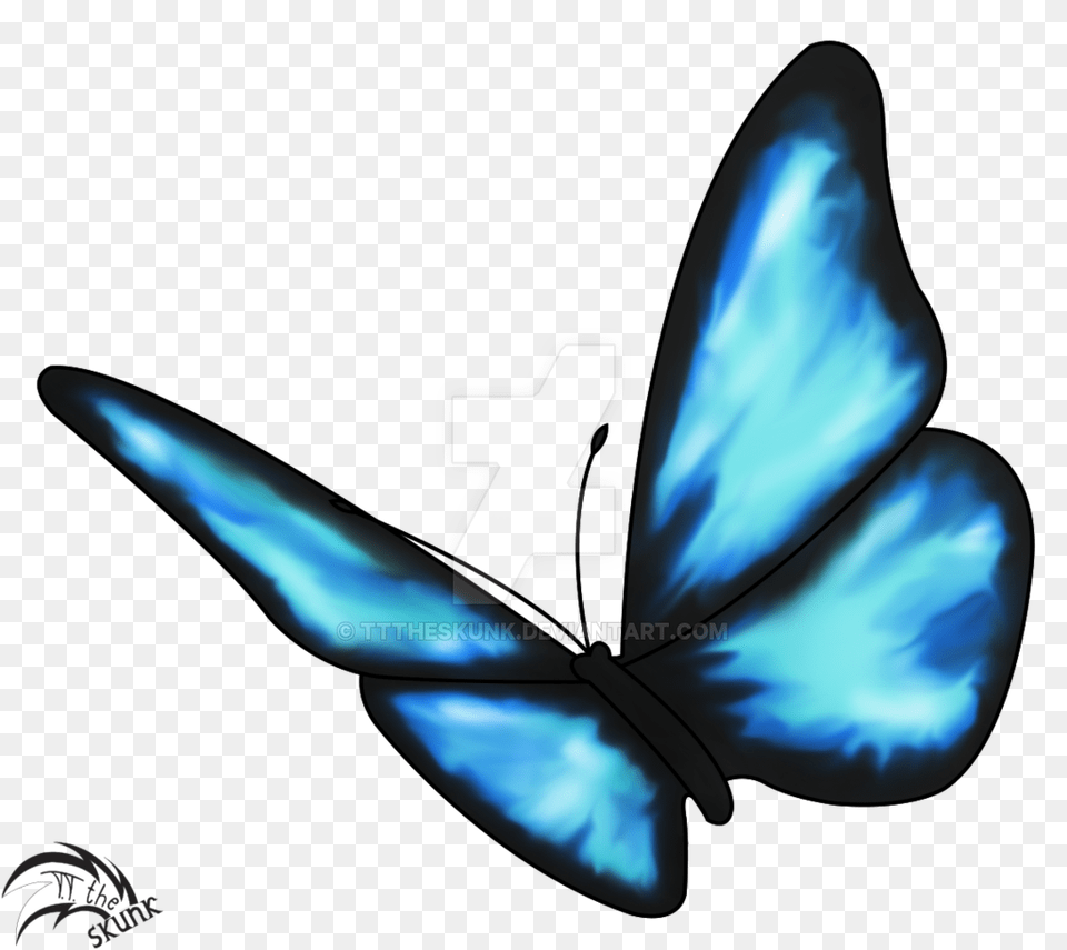 Life Is Strange Butterfly, Animal, Bird, Jay, Adult Free Transparent Png