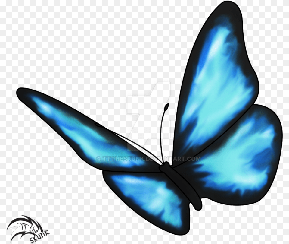 Life Is Strange Butterfly Effect Drawing Insect Butterfly Drawing Life Is Strange, Invertebrate, Wasp, Bee, Animal Free Png