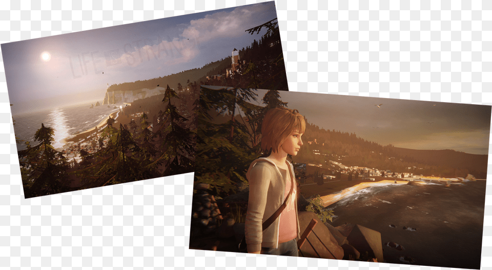 Life Is Strange Painting, Nature, Tree, Outdoors, Scenery Png Image