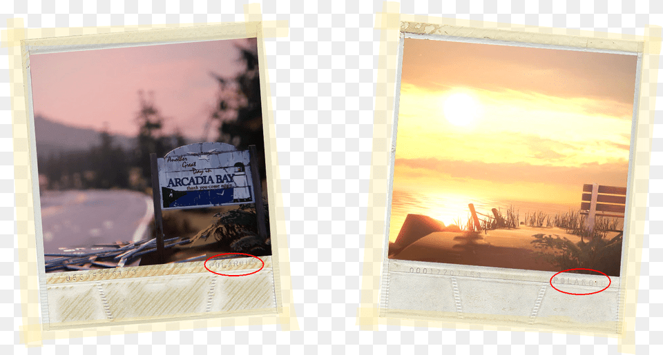 Life Is Strange Polaroid Download Life Is Strange Polaroid, Art, Collage, Nature, Outdoors Png Image