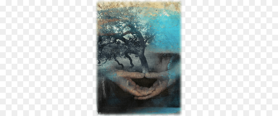 Life Journal, Art, Painting, Plant, Tree Free Transparent Png