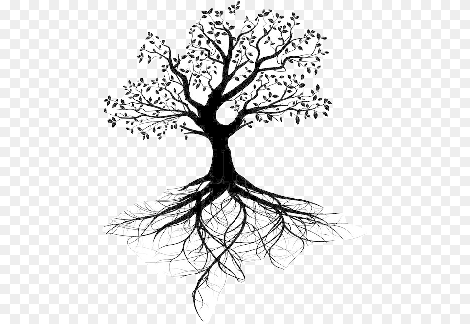 Life Root Tree With Roots Silhouette, Art, Drawing, Person Free Transparent Png