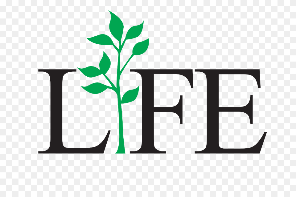 Life Transparent, Herbal, Herbs, Leaf, Plant Free Png