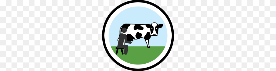 Lifescouts Cow Milking Badge If You Have This, Animal, Cattle, Dairy Cow, Livestock Free Png