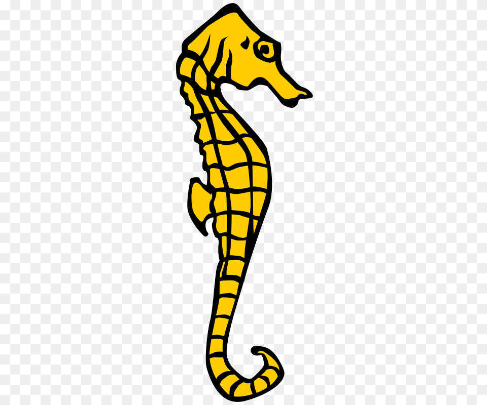 Liftarn Seahorse, Animal, Mammal, Sea Life Png