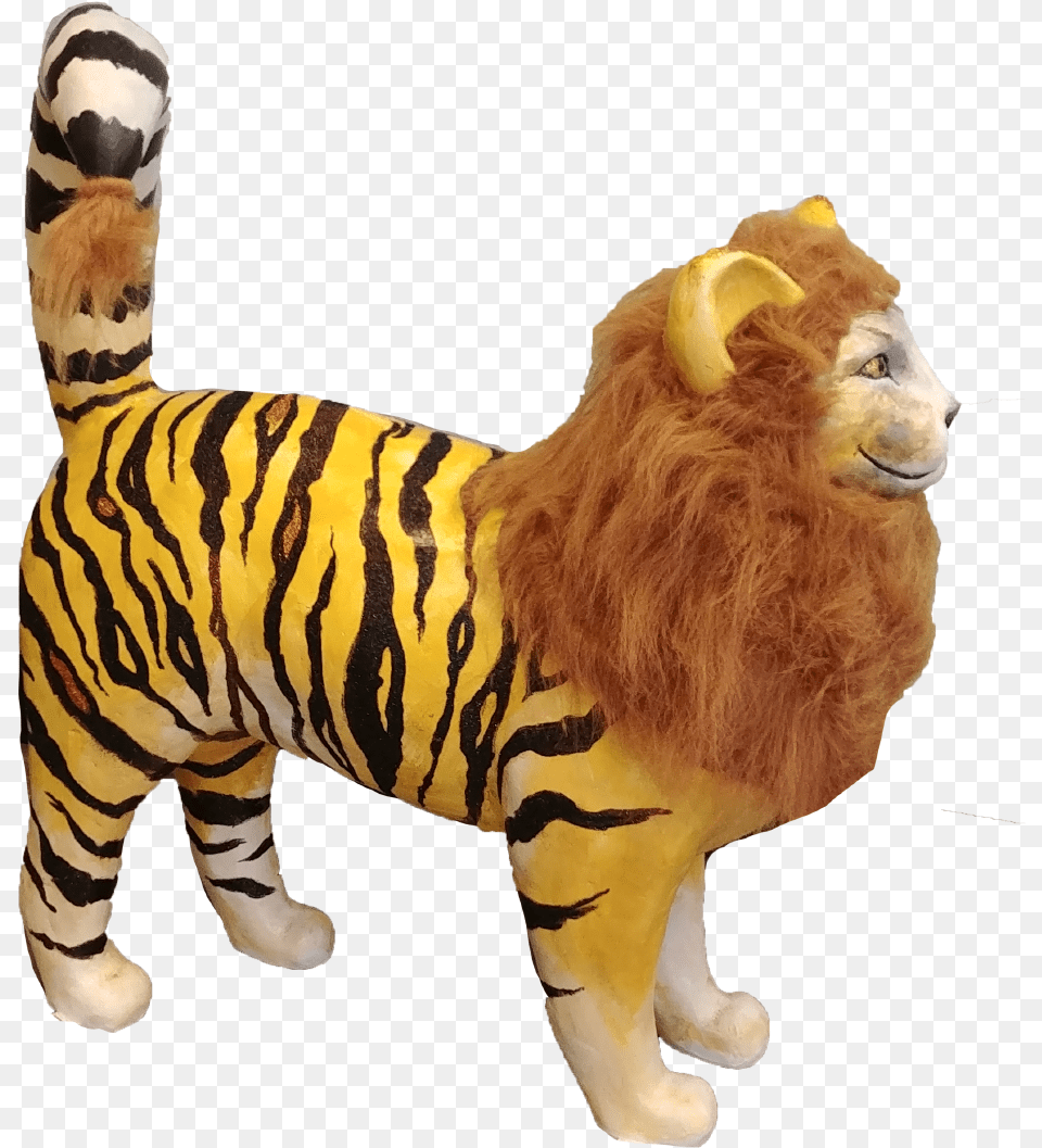 Liger By Susan Schiesser Siberian Tiger, Animal, Lion, Mammal, Wildlife Free Png Download