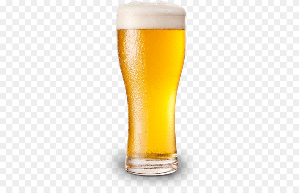 Light Beer, Alcohol, Beer Glass, Beverage, Glass Free Transparent Png