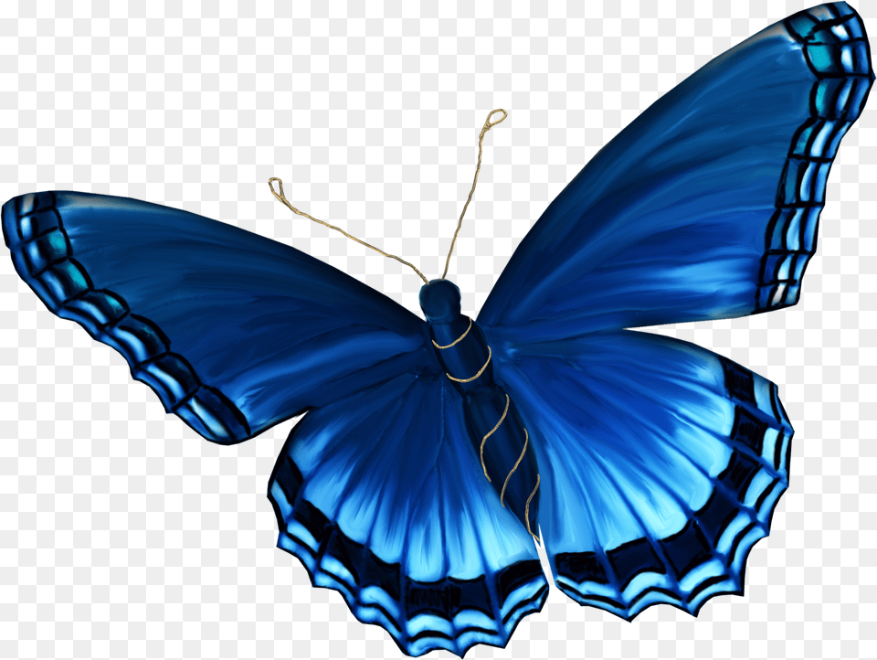 Light Blue Butterfly, Animal, Insect, Invertebrate, Person Free Png Download